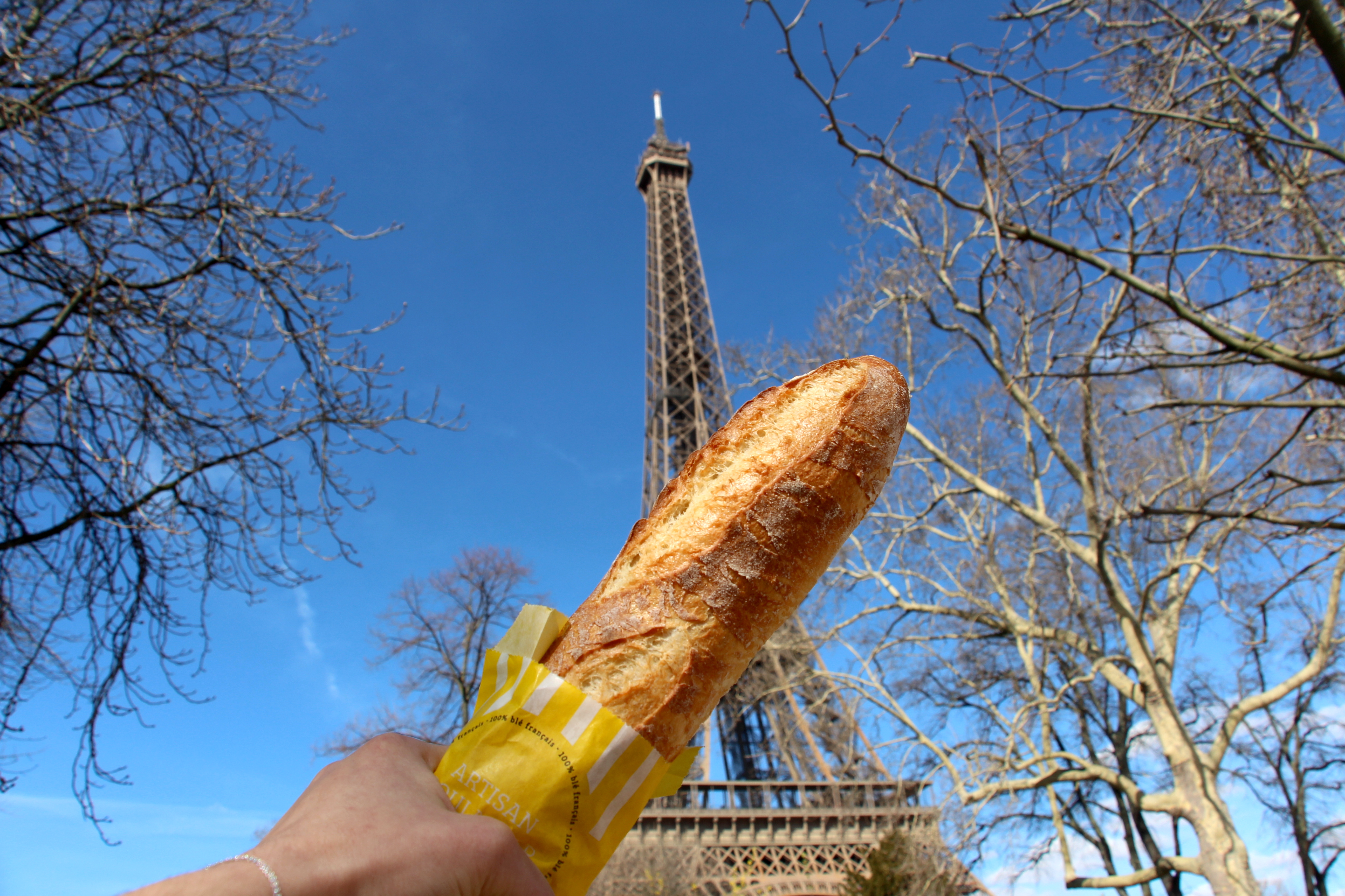 eiffel tower baguette