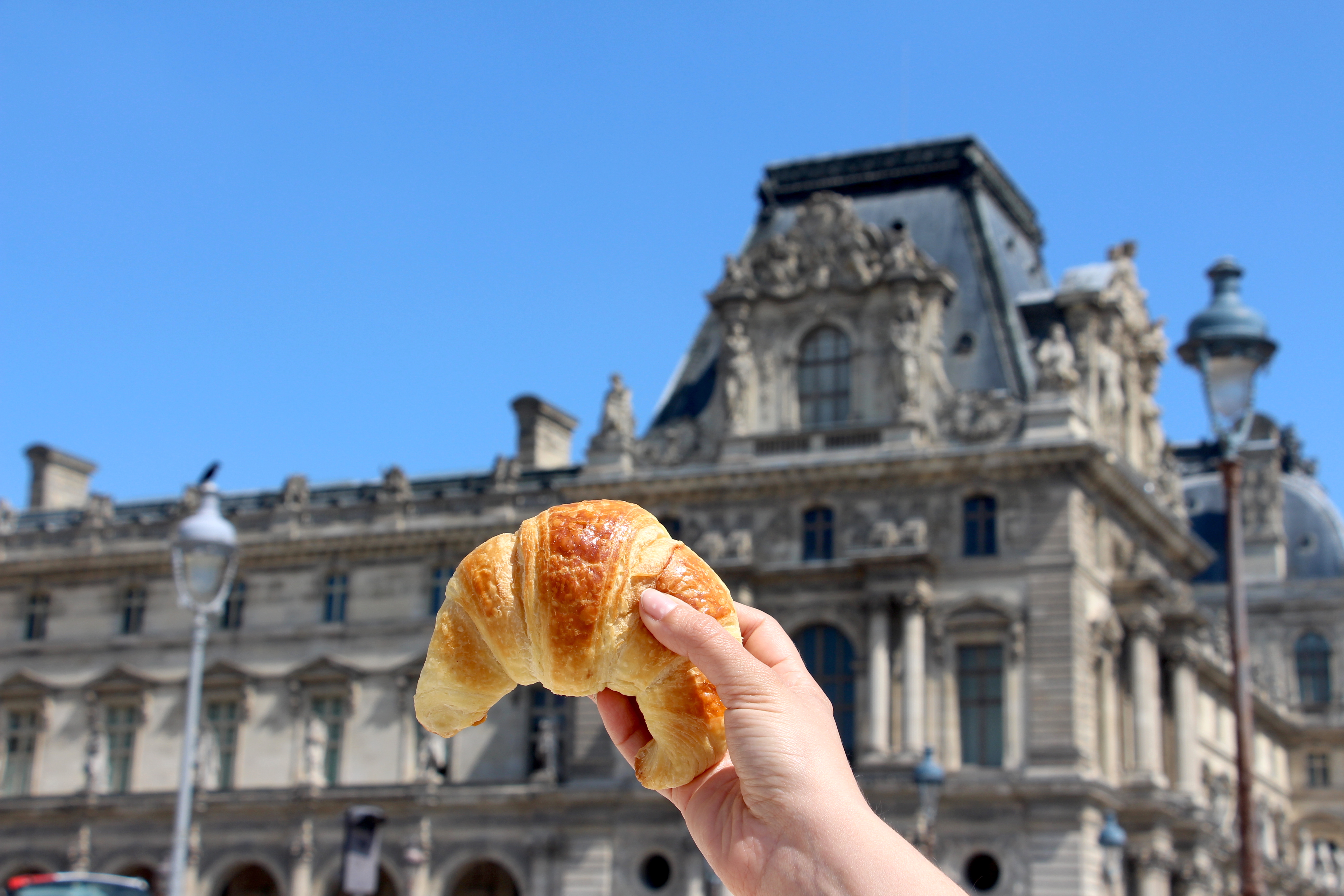 louvre